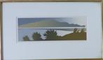 MALCOLM WARR / DUNE GRASS / KLEURLITHO / 34x57cm / KADER SIG, Antiek en Kunst, Kunst | Litho's en Zeefdrukken, Ophalen of Verzenden