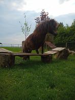 Shetlandpony kleine maat, Dieren en Toebehoren, Merrie