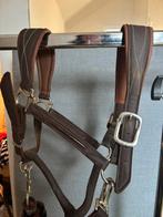 Leder halster + touw, Ophalen of Verzenden, Gebruikt