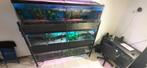 aquarium stelling 6 aquaria incl pomp voor 6 aquaria, Dieren en Toebehoren, Ophalen, Gebruikt, Leeg aquarium