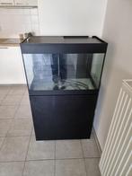 Oase StyleLine 125 L Zwart – Complete Aquariumset, Dieren en Toebehoren, Ophalen, Zo goed als nieuw