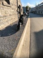 Benelli leoncino 500, Motoren, Ophalen, 2 cilinders, 12 t/m 35 kW