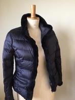 Donsjas Betty Barclay 38, Kleding | Heren, Jassen | Winter, Betty Barclay, Overige maten, Zo goed als nieuw, Verzenden