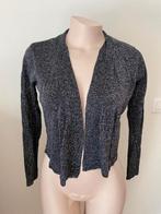 Feestelijke zwarte cardigan met glitters (S) – Nieuw!, Kleding | Dames, Zwart, Bel & Bo, Nieuw, Ophalen of Verzenden
