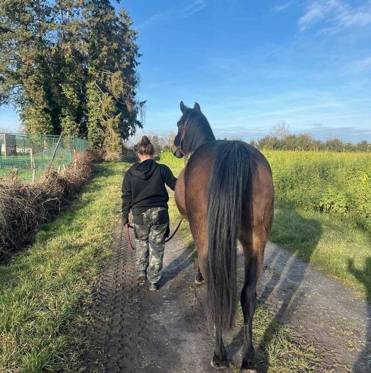 Werk gezocht!, Vacatures, Vacatures | Landbouw, Natuur en Milieu