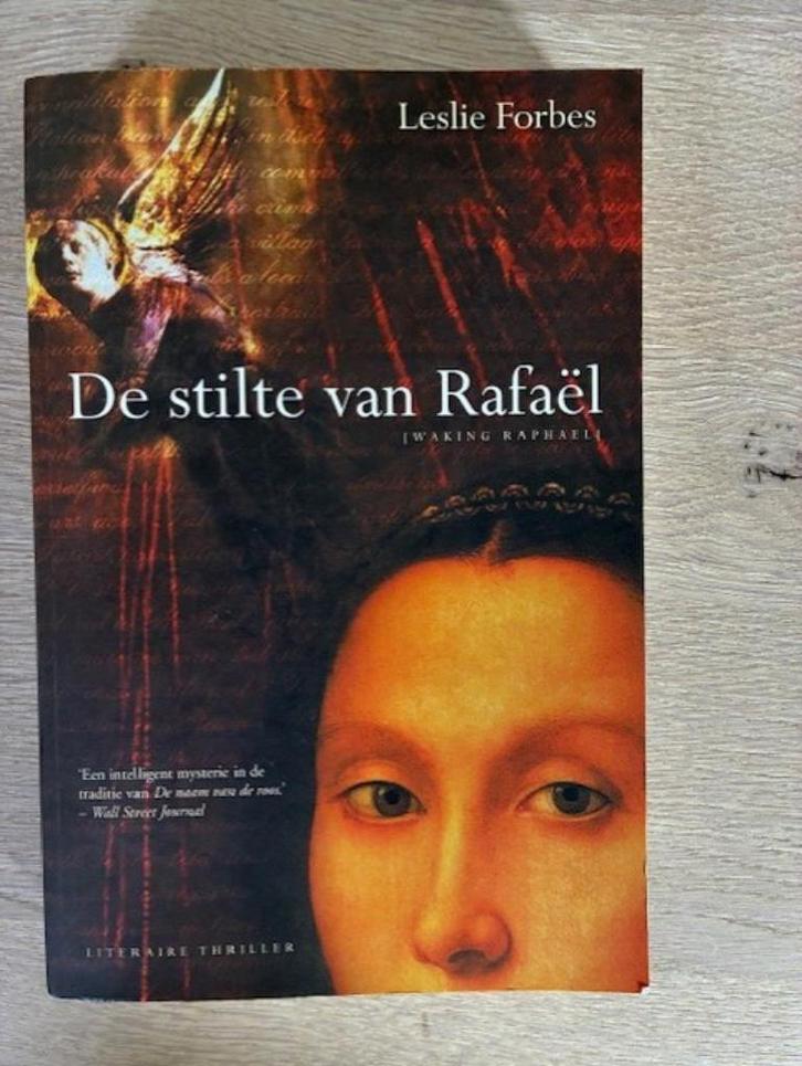 De stilte van Rafaël - intelligent mysterieus, Livres, Littérature, Comme neuf, Belgique, Enlèvement ou Envoi