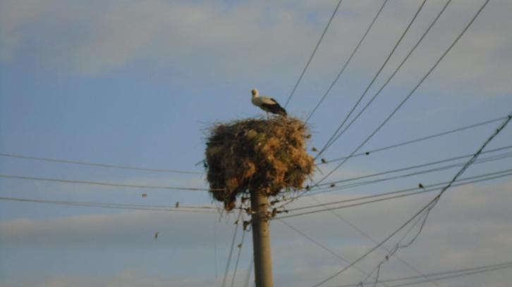 Huis home te koop in Tatari Bulgari, Immo, Étranger, Europe autre, Maison d'habitation, Village