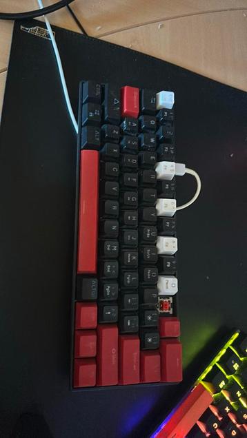 White shark 60% beschikbaar voor biedingen