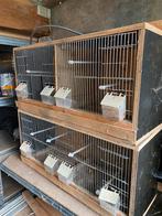 Vogelkooi, transportkooi, kweekbak, Ophalen, Gebruikt, Vogelkooi