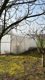 Gereserveerd grote mooie serre!! Gereserveerd!!, Film, Acier, Serre, Enlèvement