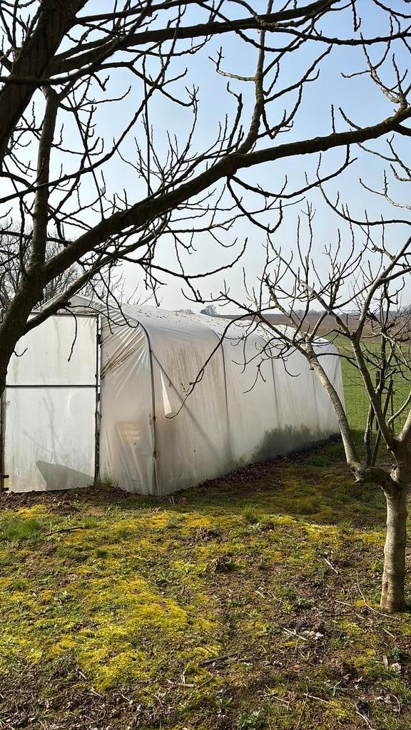 Gereserveerd grote mooie serre!! Gereserveerd!!, Tuin en Terras, Kassen, Gebruikt, Kweekkas, Staal, Folie, Ophalen