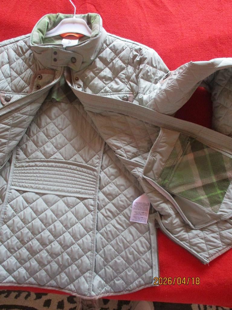 nieuw  heel modern mooi jasje  merk JILL BRETT   40 maat, JILL  BRETT, Ophalen of Verzenden, Nieuw, Groen