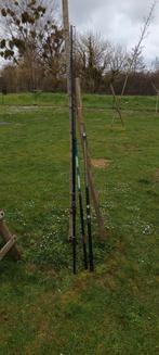Lot de 3 canne à pêche, Watersport en Boten, Hengelsport | Karpervissen, Molen