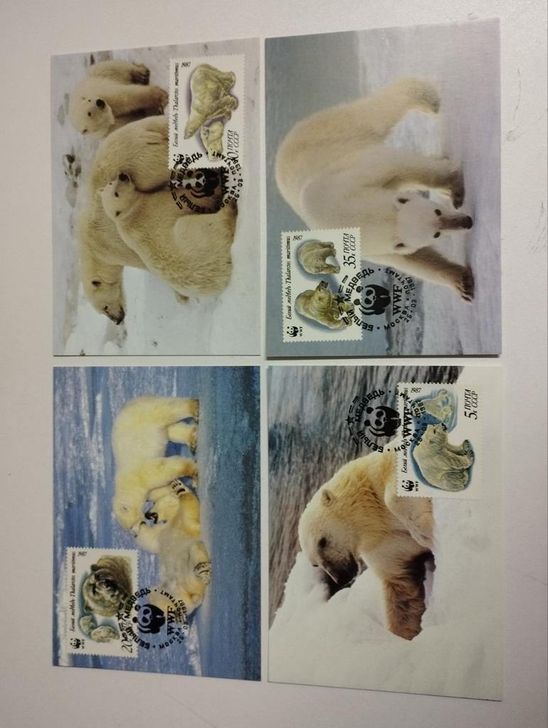4 wwf postzegelkaarten over de ijsbeer kleur verschillende k, Collections, Cartes postales | Animaux, Enlèvement