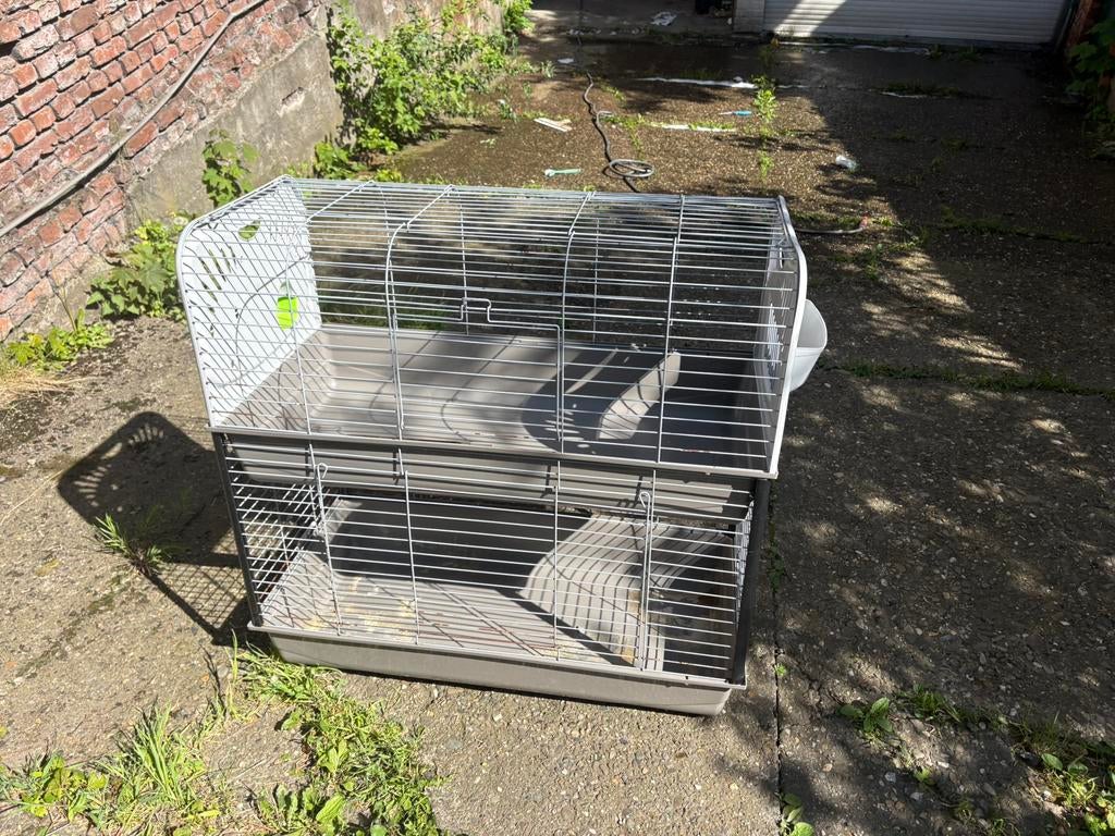 Cage  à lapin, Animaux & Accessoires, Rongeurs & Lapins | Cages & Clapiers, Enlèvement, Comme neuf, Cage, Lapin