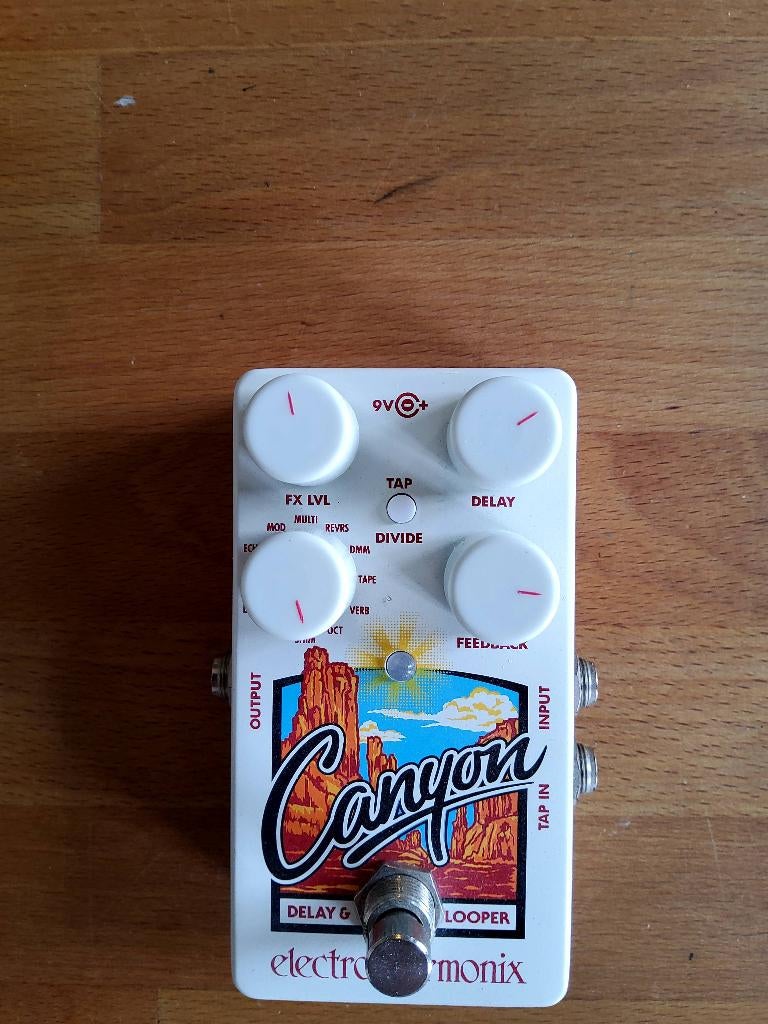 Electro Harmonix - Canyon - Delay Looper-effectpedaal, Muziek en Instrumenten, Effecten, Zo goed als nieuw, Delay of Echo, Ophalen of Verzenden