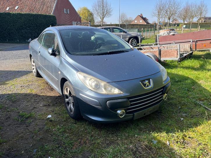 Peugeot 307 cabrio, Auto's, Peugeot, Bedrijf, Airbags, Airconditioning, Alarm, Boordcomputer, Centrale vergrendeling, Cruise Control