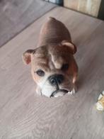 Beeldje engelse buldog, Ophalen of Verzenden