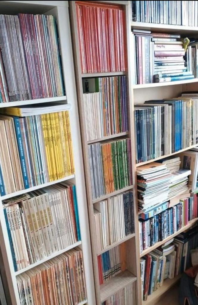 Diverse strips kleine volledige series en andere, Boeken, Stripverhalen, Ophalen of Verzenden