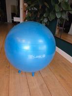 Gymnic Sit n Gym zitbal 65 cm Blauw met voetjes, Ophalen
