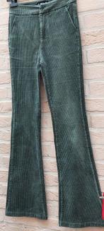 Broek veloer stofje scott &soda, Kleding | Dames, Broeken en Pantalons, Overige kleuren, Ophalen of Verzenden, Zo goed als nieuw