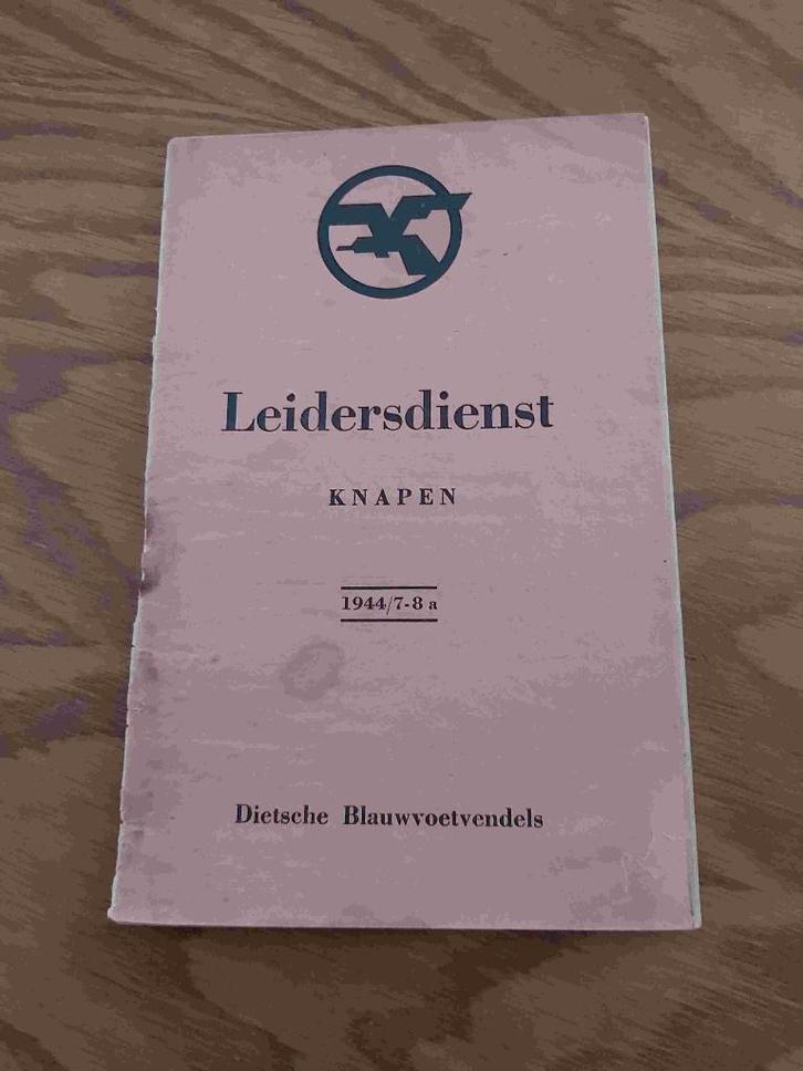 VNV Jeugdbeweging NSJV Onderricht Knapen Leider Brussel DMS, Boeken, Politiek en Maatschappij, Gelezen, Maatschappij en Samenleving