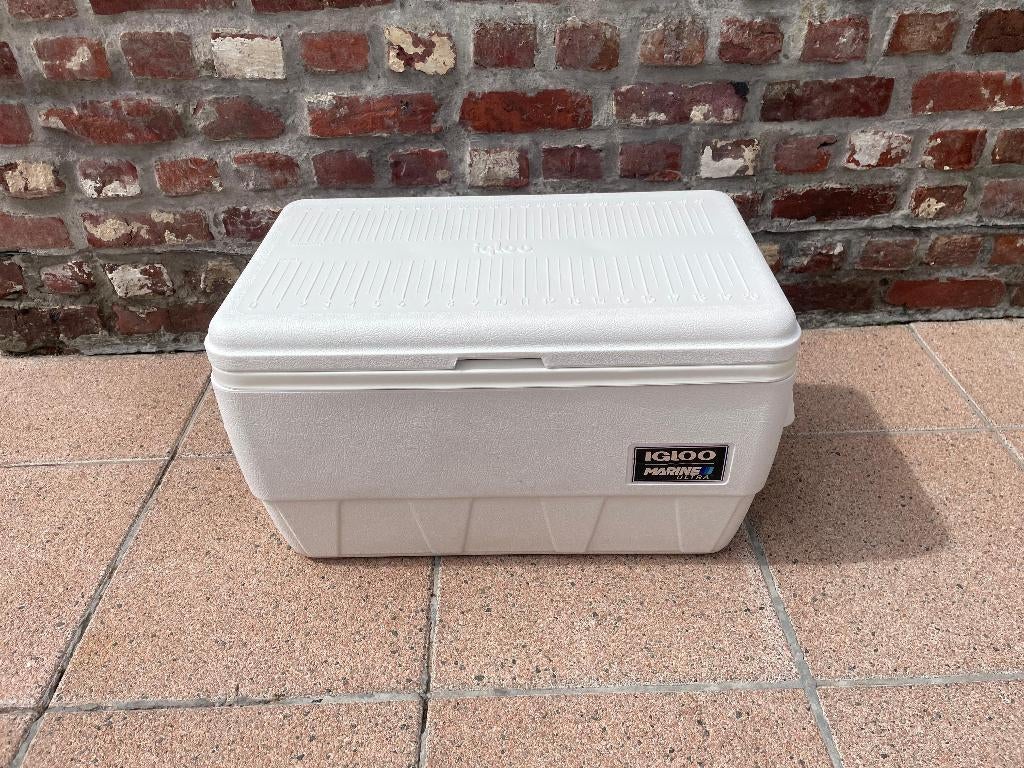 Igloo koelbox 45 liter, Caravanes & Camping, Glacières, Comme neuf, Glacières, Enlèvement