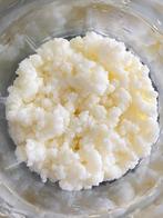Kefir - yoghurtbloempjes - melkkorrels (40 gram), Diversen, Levensmiddelen, Ophalen