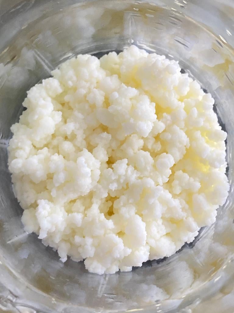 Kefir - yoghurtbloempjes - melkkorrels (40 gram), Diversen, Levensmiddelen, Ophalen
