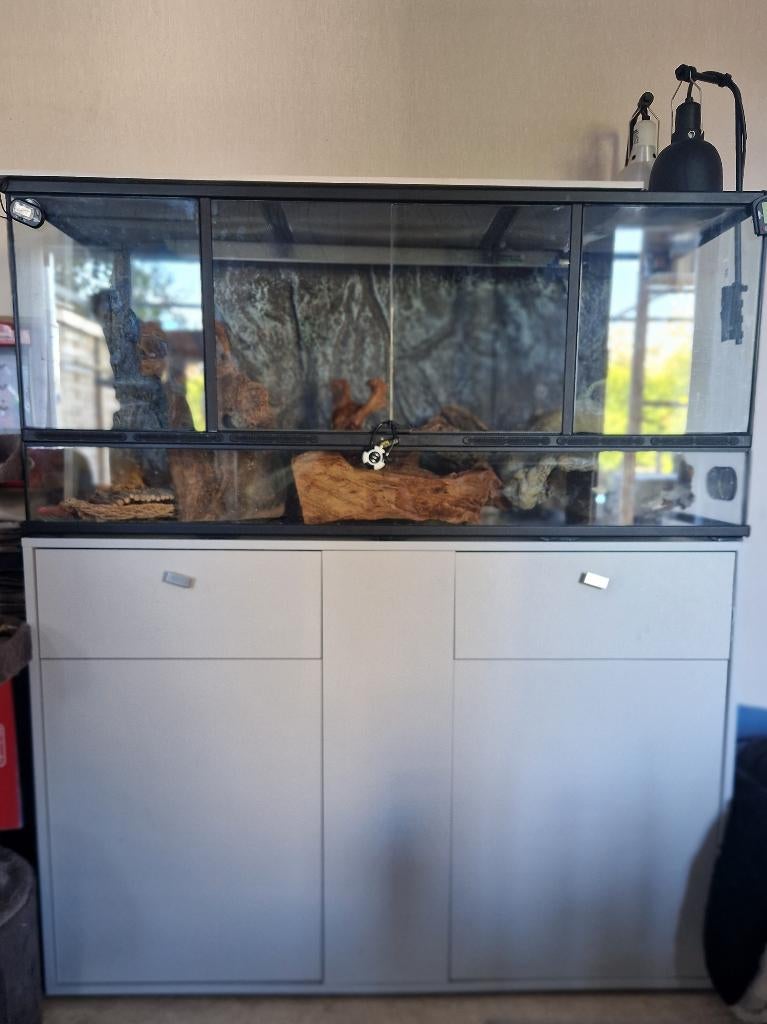 Terrarium plus meuble, Animaux & Accessoires, Enlèvement, Utilisé, Terrarium ou Paludarium