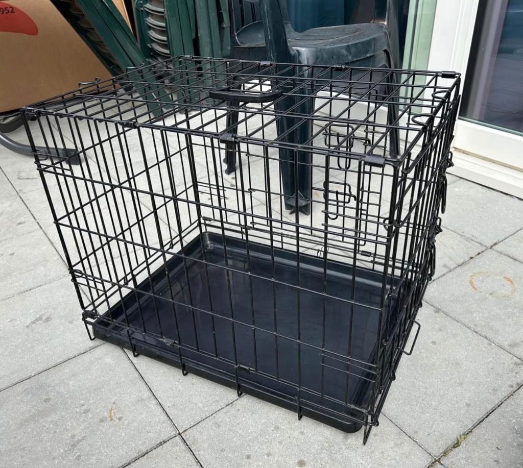 Hondenspullen, Dieren en Toebehoren, Ophalen, Gebruikt