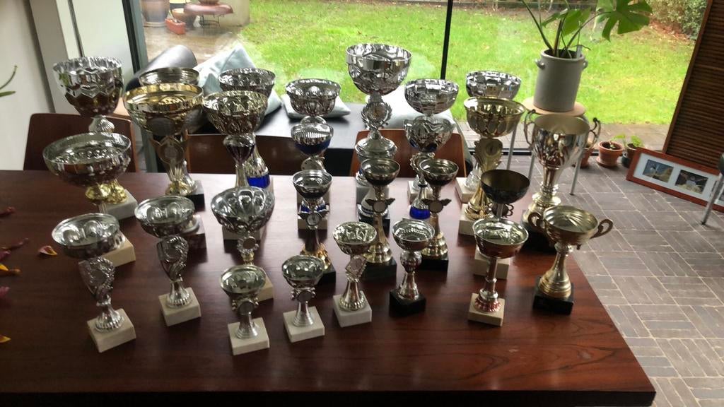 Sporttrofeëen 29 stuks, Sport en Fitness, Overige Sport en Fitness, Ophalen, Zo goed als nieuw