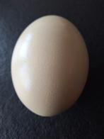 Grote decoratie eieren, Enlèvement