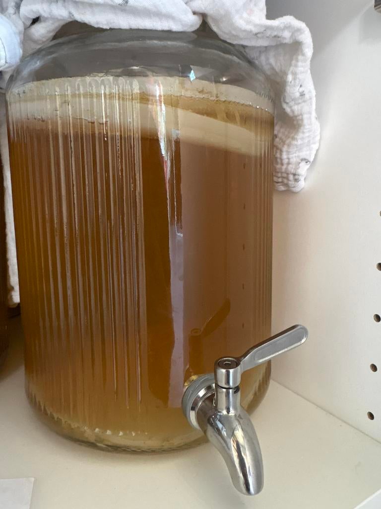 Scoby voor kombucha, Divers, Produits alimentaires, Enlèvement