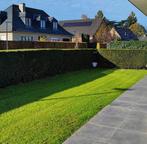 Tuinwerken Onderhout - Weest-Vlaanderen & Oost-Vlaanderen, Ophalen, Zo goed als nieuw