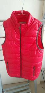 bodywarmer pour garçon et fille Nonito kids, Garçon ou Fille, Enlèvement ou Envoi, Comme neuf, Manteau