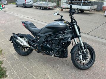 benelli 502c 35kw a2, 2 cylindres, Particulier, 12 à 35 kW, 500 cm³