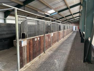 Paardenboxen 350 x 300 draaibaar 9 stuks beschikbaar voor biedingen