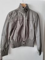 Veste en cuir véritable neuve, Sans marque, Nieuw, Maat 36 (S), Grijs