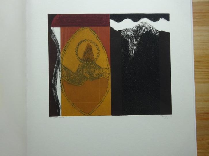 Jan Scheir, kleurets 1996, Het  vel van de beer, kunstmap, Antiek en Kunst, Kunst | Litho's en Zeefdrukken, Ophalen of Verzenden