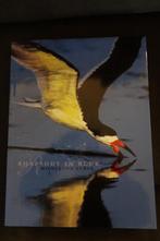 Rhapsody in blue, Ophalen, Zo goed als nieuw, Vogels, Middleton Evans
