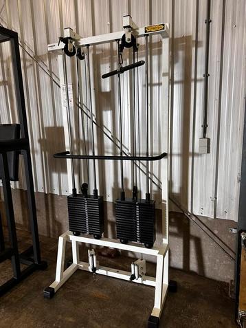 Technogym Dubbelen Pulley met 2x80kg Steekgewichten 