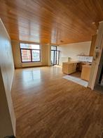 Gezellig 1slpkr appartement Herzele