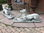2 grote liggende  statige honden windhond greyhound whippet, Antiek en Kunst, Ophalen