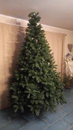 Sapin triumph tree, Diversen, Kerst, Ophalen, Nieuw