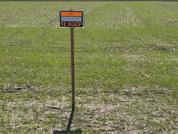 Landbouwgrond 31,88a. In Molenbeersel  beschikbaar voor biedingen
