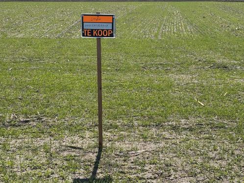 Landbouwgrond 31,88a. In Molenbeersel, Immo, Gronden en Bouwgronden