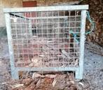 Grote gegalvaniseerde gaascontainer metalen bak, Doe-het-zelf en Bouw, Ophalen