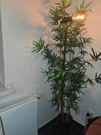 Dringend weg: Kamerplant + staanlamp van ikea, Huis en Inrichting, Lampen | Overige, Ophalen, Zo goed als nieuw