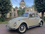 Volkswagen Kever 1965 L572 Panama Beige, 4 zetels, 4 cilinders, Beige, Bedrijf
